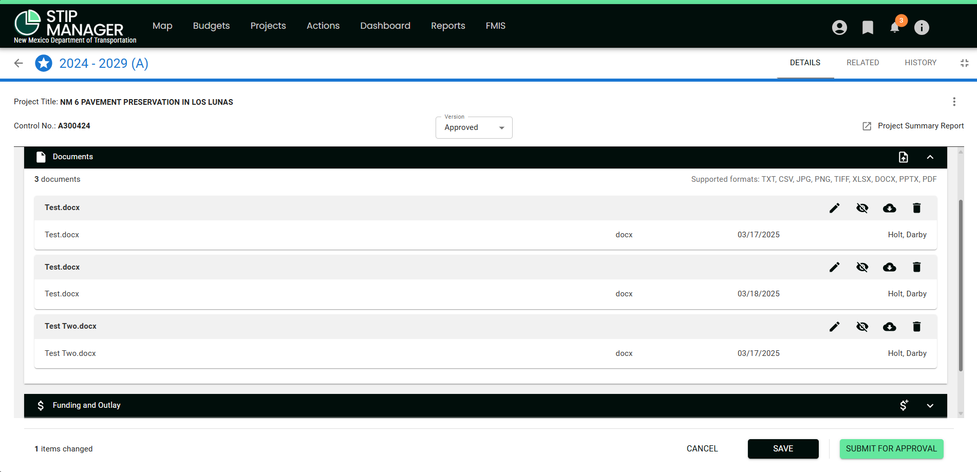 L - NM STIP Manager Detail Docs Full Pane.png